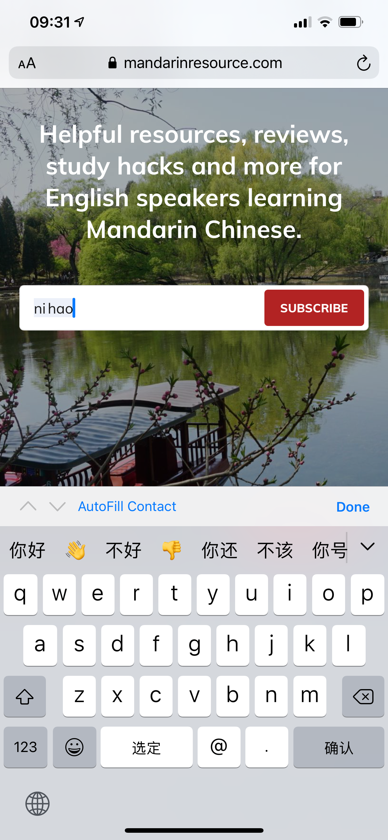 How to type in Chinese on iOS and iPadOS